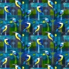 81640 Kingfishers Col. 1